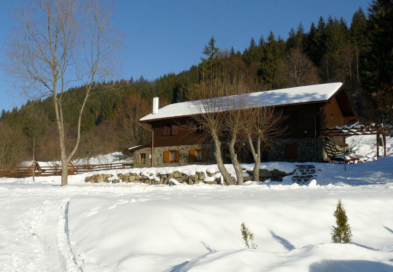 3A Guest House Sicasău Extérieur photo